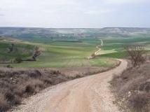Camino francés Camino francés