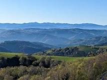 Camino Primitivo Camino Primitivo